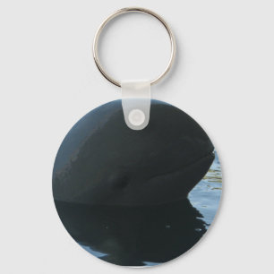 Irrawaddy Dolphin Peek-A-Boo Key Ring