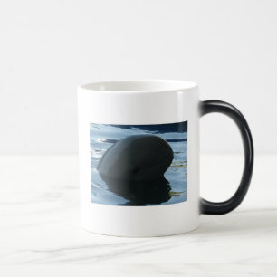 Irrawaddy Dolphin Peek-A-Boo Magic Mug