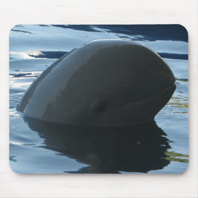 Irrawaddy Dolphin Peek-A-Boo Mouse Pad (Front)