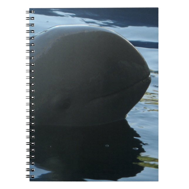 Irrawaddy Dolphin Peek-A-Boo Notebook (Front)