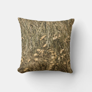 irregular dry plants on rock covered beach on the cushion