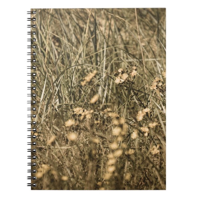 irregular dry plants on rock covered beach on the  notebook (Front)