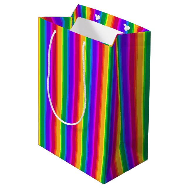 Irregular rainbow stripes medium gift bag (Back Angled)