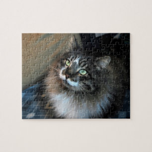 Irresistible Cat Zorro Puzzle