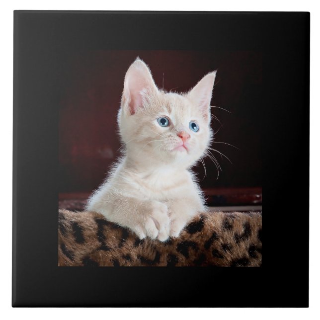 Irresistible...look at that precious face ceramic tile (Front)