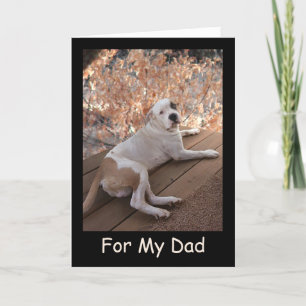 Irresistible Pitbull Porch Dog Father's Day Card