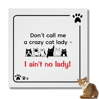 Irreverent Humour Crazy Cat Lady  Poster