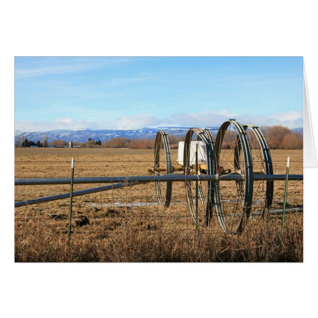 Irrigation Pipes in Field (Front Horizontal)