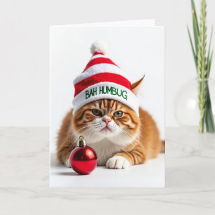 Irritated Feline Christmas Card