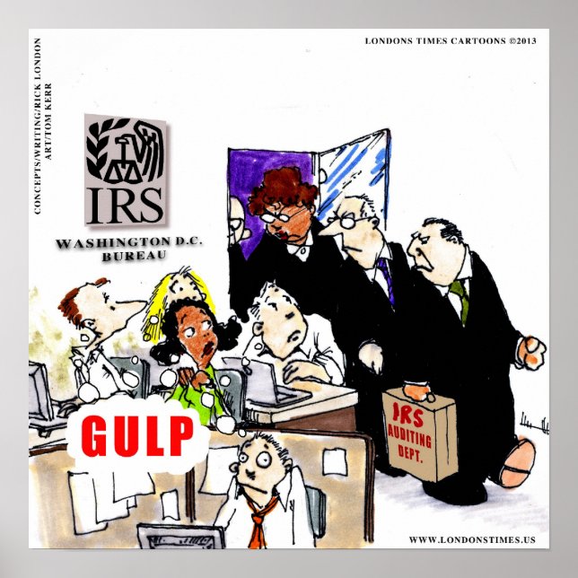 IRS Audits IRS Funny Poster (Front)