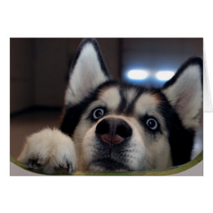 Is Anybody Out There