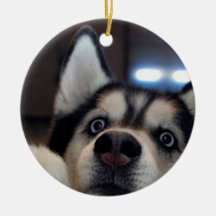 Is Anybody Out There