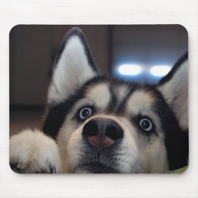 Is Anybody Out There? Mouse Pad (Front)