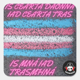 Is cearta daonna iad cearta tras square sticker