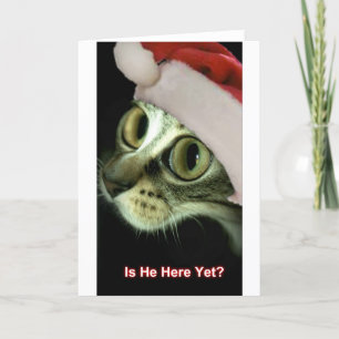 Is He Here Yet? Holiday Card