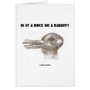 Is It A Duck Or A Rabbit? (Optical Illusion)