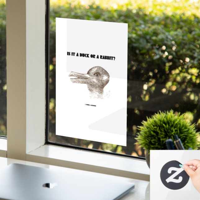 Is It A Duck Or A Rabbit? Optical Illusion (Office)