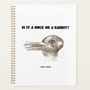 Is It A Duck Or A Rabbit? Optical Illusion Planner