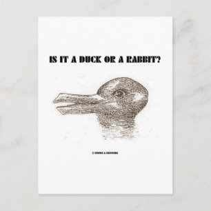 Is It A Duck Or A Rabbit? (Optical Illusion) Postcard