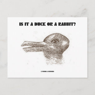 Is It A Duck Or A Rabbit? (Optical Illusion) Postcard