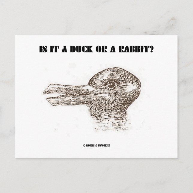 Is It A Duck Or A Rabbit? (Optical Illusion) Postcard (Front)