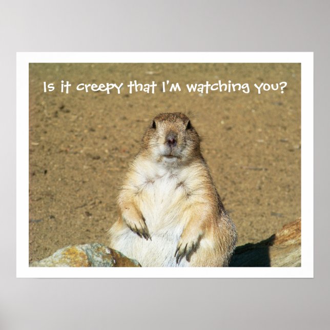 "Is it creepy that I'm watching you?" Prairie Dog Poster (Front)