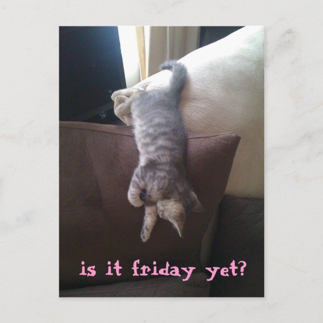 is it friday yet? postcard (Front)