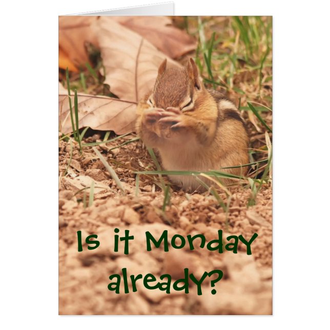 Is it Monday already? Chipmunk Card (Front)