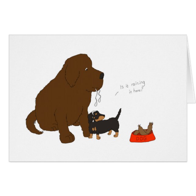 Is it raining in here? (Front Horizontal)