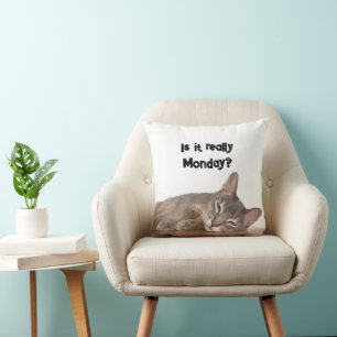 Is It Really Monday? Funny Abyssinian Cat Meme Cushion