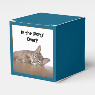 Is It Really Monday? Funny Abyssinian Cat Meme Favour Box