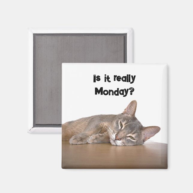 Is It Really Monday? Funny Abyssinian Cat Meme Magnet (Front/Back)