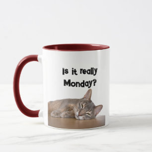 Is It Really Monday? Funny Abyssinian Cat Meme Mug