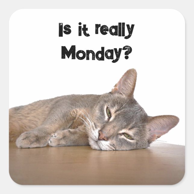 Is It Really Monday? Funny Abyssinian Cat Meme Square Sticker (Front)