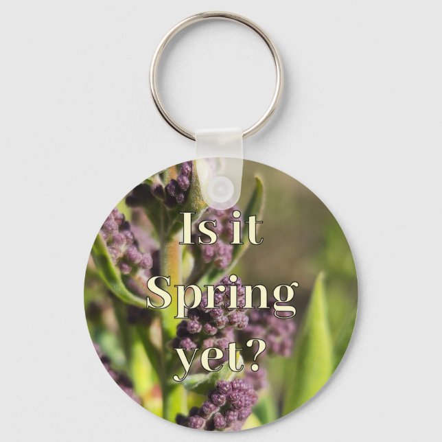 Is it Spring Yet? Lilac Buds  Key Ring (Front)