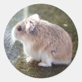 'Is that a bee?' - Tac Sticker