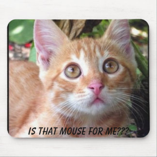 Is that mouse for me? mouse pad
