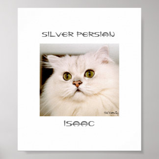 Isaac, An Extraordinary Silver Persian Poster