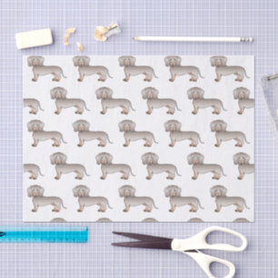 Isabella And Tan Smooth Coat Dachshund Dog Pattern Tissue Paper