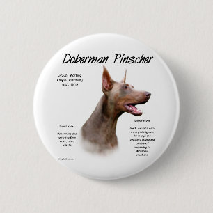 Isabella Doberman History  6 Cm Round Badge