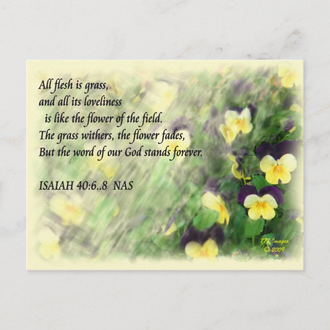Isaiah40:6...8 postcard (Front)