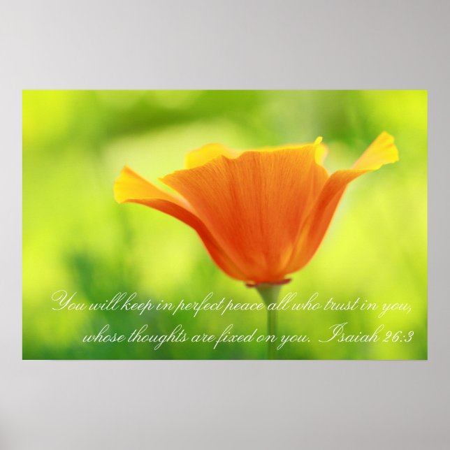 Isaiah 26:3, Orange poppy Poster (Front)