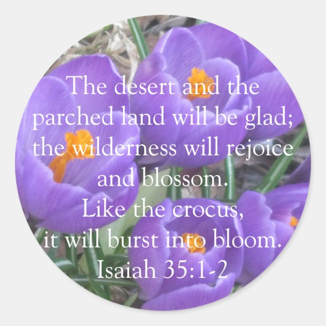 Isaiah 35:1-2 ~ The Crocus Classic Round Sticker (Front)
