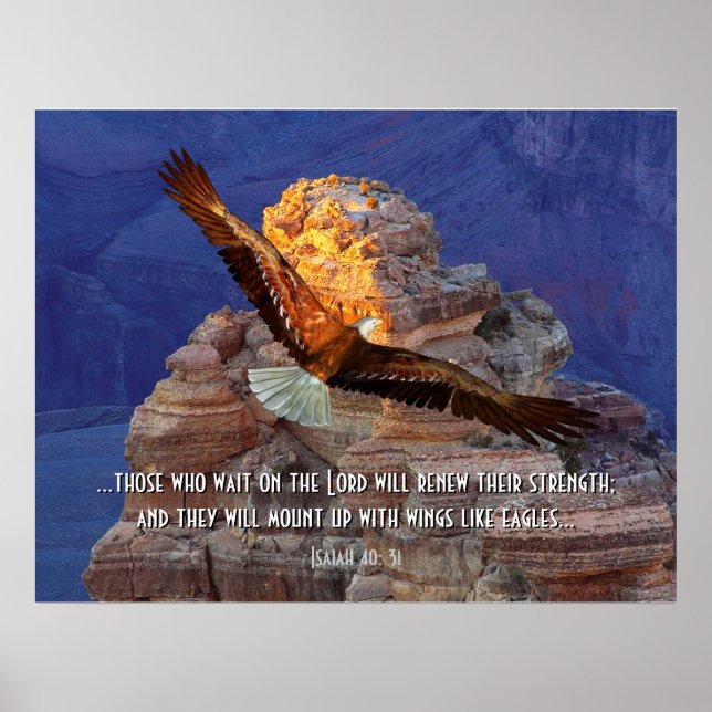 Isaiah 40: 31 Eagle Scripture Poster Print (Front)