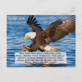 Isaiah 40:31  Mount Up on Eagle Wings Postcard