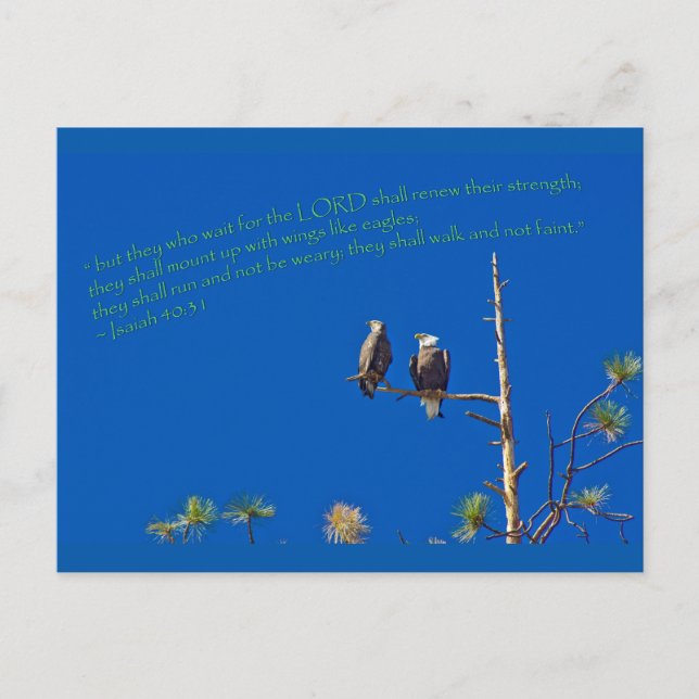 Isaiah 40:31 postcard (Front)