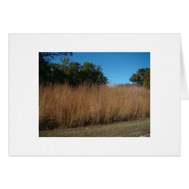 Isaiah 40:8, Grass & Flowers (Front Horizontal)