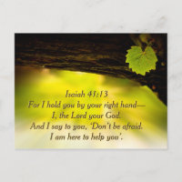 Isaiah 41:13 I hold you by your right hand— Bible