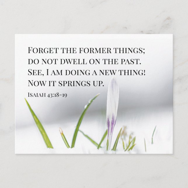 Isaiah 43:18 I am doing a NEW THING Bible Verse  Postcard (Front)