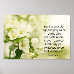 Isaiah 46:4 I am He who will sustain you Poster
